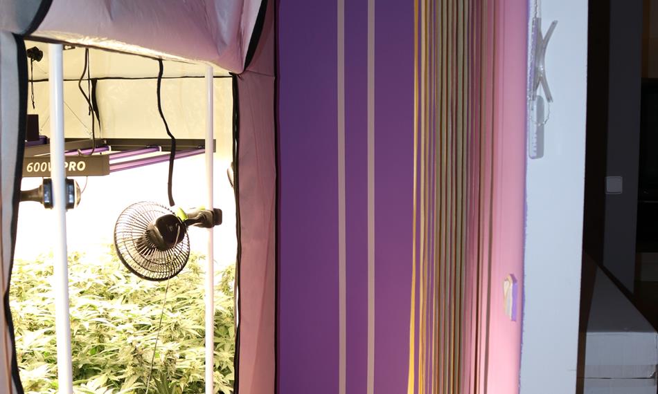 2021-2-2-1639Domovn¡ prohl¡dka 1.JPG